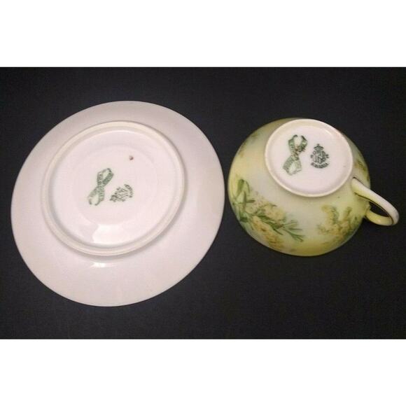 P.T. Tirschenreuth Bavaria Hand Painted Teacup and Saucer - Picture 3 of 7